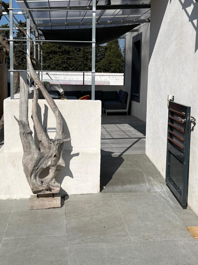 イエールAux 3 Domaines T2 Avec Terrasseアパートメント エクステリア 写真